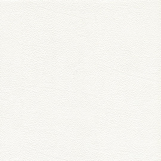 Texdecor DNE90239106 Vinacoustic Dune - tapeta akustyczna winylowa imitująca skórę