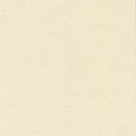 Tapeta akustyczna Texdecor Vinacoustic Dune 2 DNE90232118
