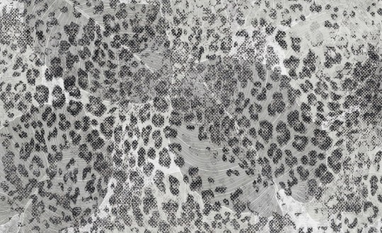 Skinwall 743C SUITE SAVANNAH GHEPARD - tapeta w centki