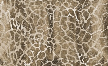 b1ed7ccd6b471f0e5bfebfbe8d801ea0