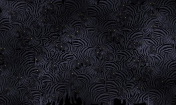 b0b569bbb94e03b2c03c354949ff80f6
