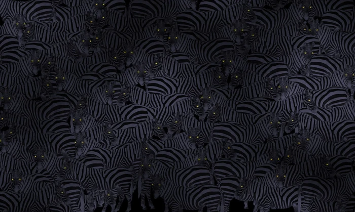 b0b569bbb94e03b2c03c354949ff80f6