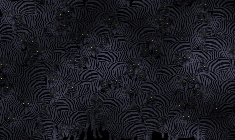 b0b569bbb94e03b2c03c354949ff80f6