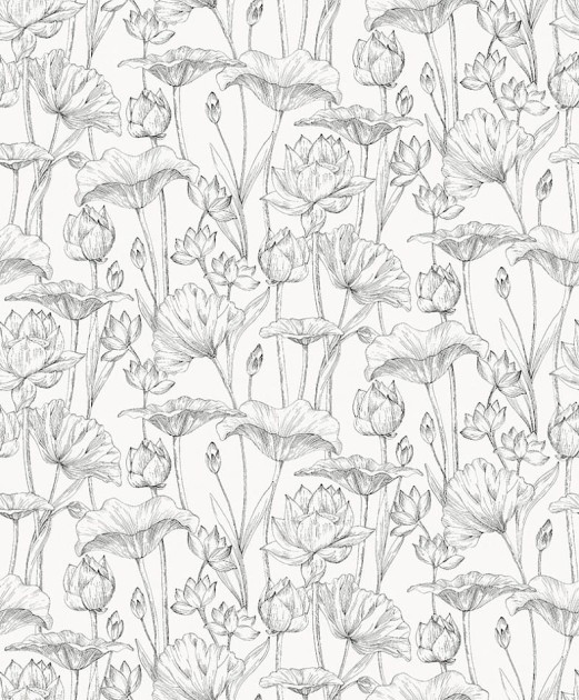 Zoom LOT302 Lotus Lotus Black - tapeta w kwiat lotosu