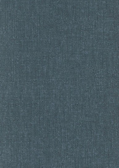 Zoom ALL901 Be Happy Gaio Denim - tapeta jednolita