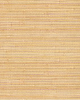 cbe780d209cdbf7ccb0a2158a436ecb9
