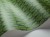9a1eb79abde7a7eb8270e9fe460aaa9a