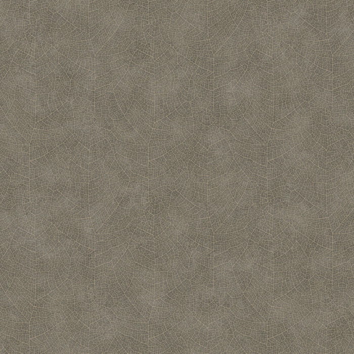 c6c030a02f4cd07e1db32b5e25f713b5