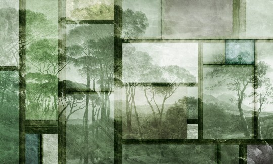 Skinwall 133B PEEKING NATURE GLAZED LAND - tapeta z lasem