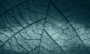 9031f26a2b86620e6ac57dcdbff8efc1