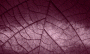 929170ca282ef889be2cf68b8232b7be