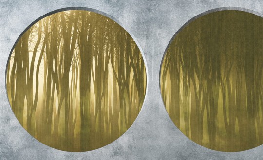 Skinwall 134B PEEKING NATURE SHADOW FOREST - tapeta z lasem