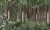 9bc21e198b4544dba7e51dedd2bfa612