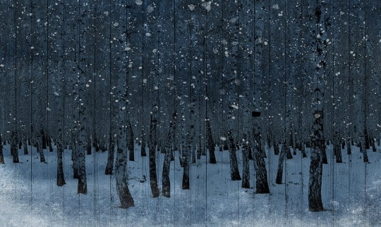 Skinwall 99 PEEKING NATURE DUSK - tapeta z lasem