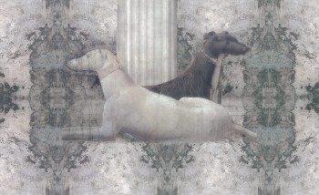 d8868d1823634a26bc46eab6467baab2