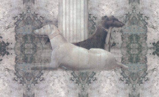 Skinwall 505 ARTS IN THE PAST PIERO DELLA FRANCESCA - tapeta historyczna