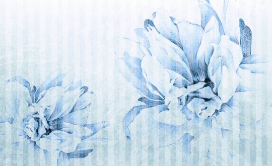 Skinwall 09B NATURAL BEAUTY DAHLIA - tapeta z kwiatami