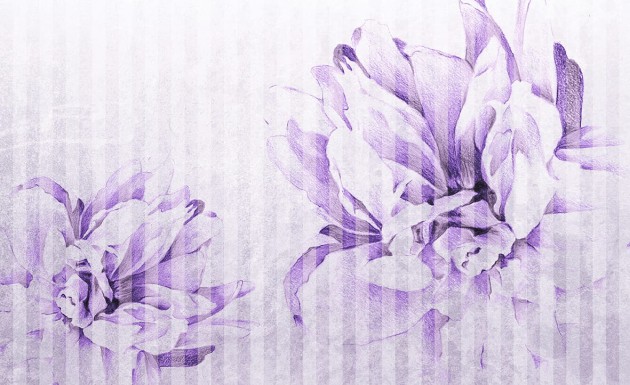 Skinwall 09C NATURAL BEAUTY DAHLIA - tapeta z kwiatami