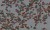 c5bc4475794209ed0291fd04580111b6