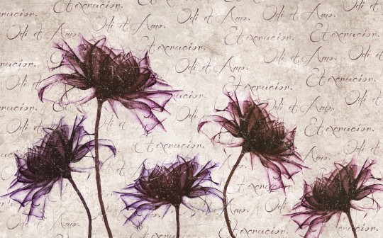 Skinwall 08A NATURAL BEAUTY LIBER - tapeta z kwiatami