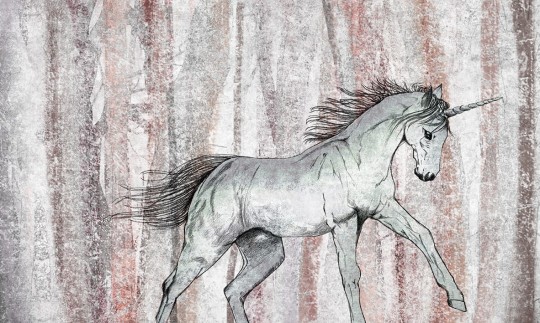 Skinwall 63 TRAVELLING MIND MAGIC ESCAPE - tapeta jednorożec