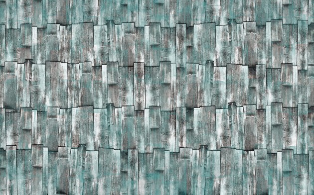 Skinwall 01B UNCONVENTIONAL SURFACES BEYOND THE FENCE - tapeta z motywem drewna