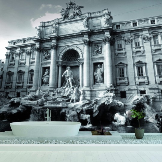 Skinwall 606 ALINARI COLLECTION ROMA – FONTANA DI TEREVI - tapeta fontanna