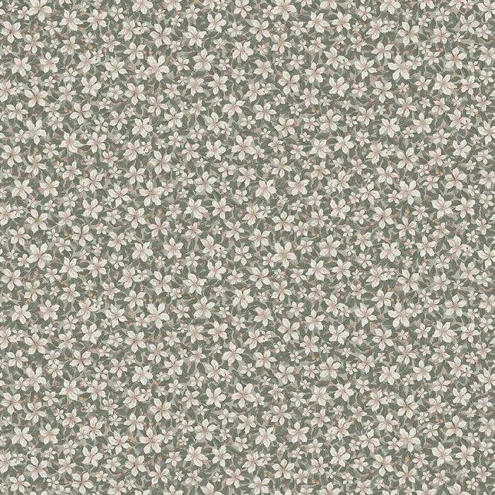 e752fbf27f5bb736b64e71a23d03318a