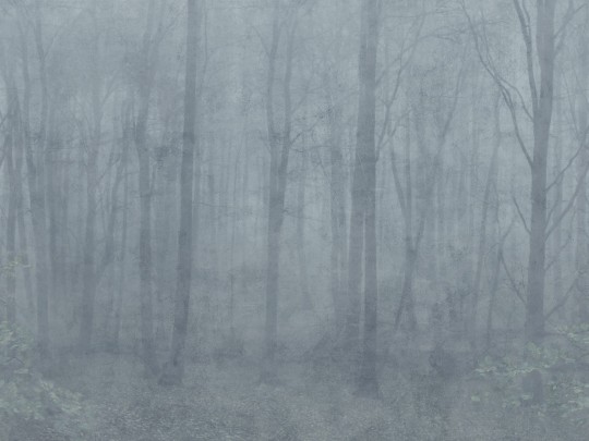 Sandberg S10106 Jordnara Skog Misty Blue - mural roślinny