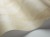 49d39b5d62e6a97daa6389be7cee526c