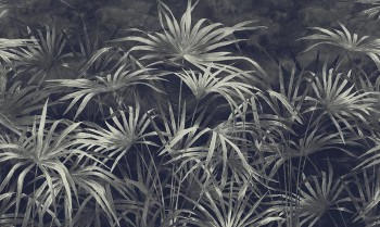 a8565f5afbc13b1ce6546dc5c916b4b4