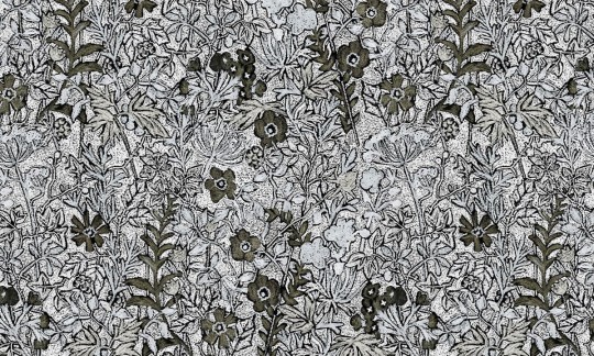 Mural Wallpepper Fauves A