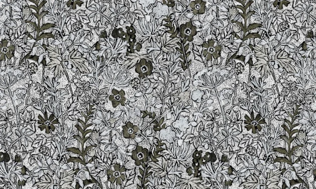 Mural Wallpepper Fauves A