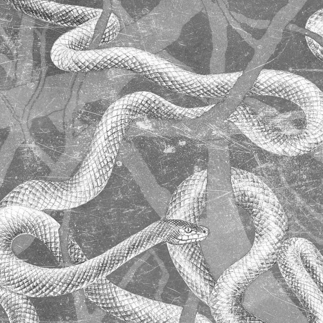 Mural Wallpepper Garden of Eden B