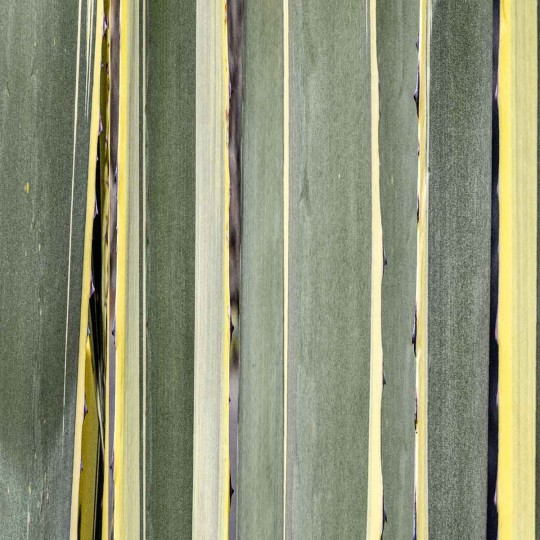 Mural Wallpepper Stripes
