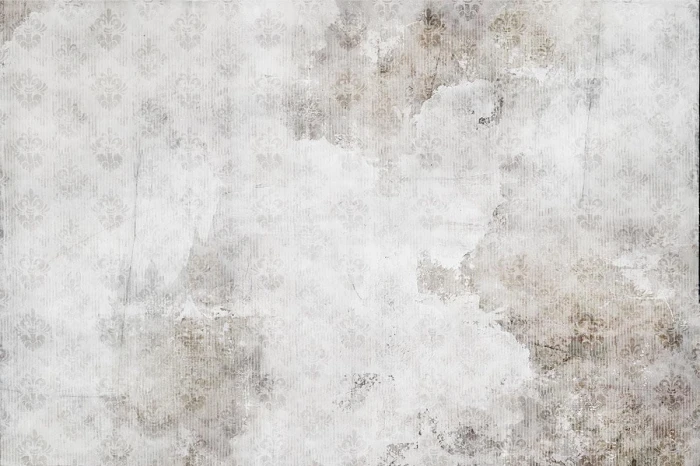 e7300cf94a0e8e056385a034b59da104