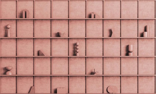 Mural Wallpepper MENUISERIE B