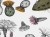 7cdbc1aeeed51cf1b2f215defd539983