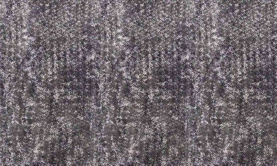 Mural Wallpepper Lace
