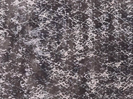 Mural Wallpepper Lace