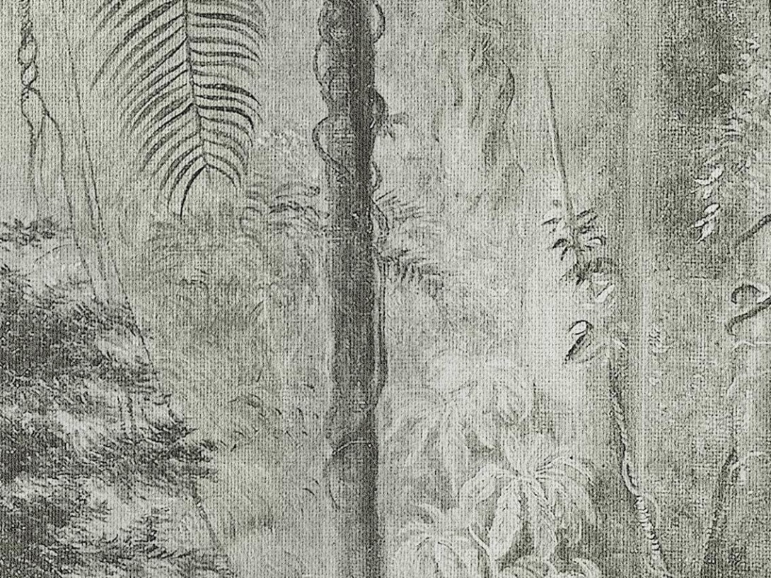Mural Wallpepper Rain forest