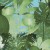 c65a33b494c2308476ced1e50ae266ca