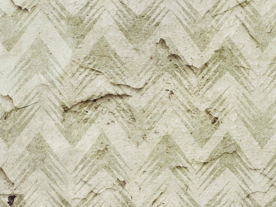 Mural Wallpepper Geometric palm