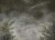 1e03b2141a25db2bc744273413f02c53
