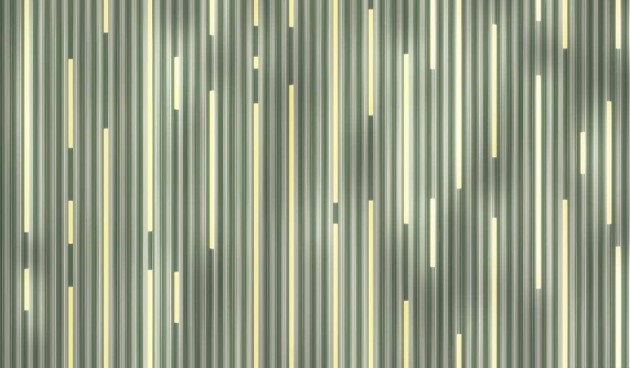 Mural Wallpepper 72D C