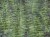 77f653c7a8c34badbd55ad8870c3170a