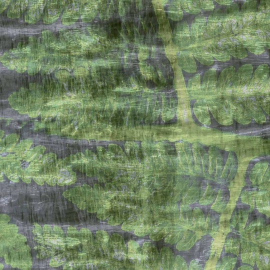 Mural Wallpepper Ferns