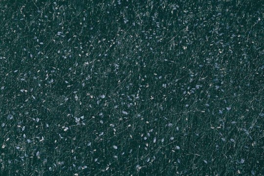 Mural Wallpepper Petals A