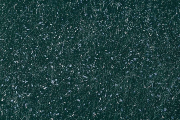 Mural Wallpepper Petals A