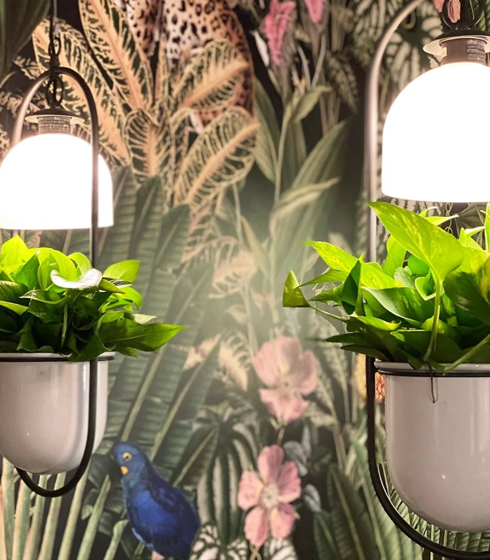 Wallcolors Tropical Intense Dark Jungle  - mural z dżunglą